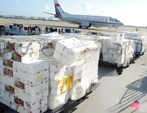 北海荔枝航空货运怎么收费