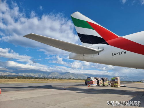 阿联酋航空货运公司Emirates SkyCargo 情人节礼物货运高峰揭秘